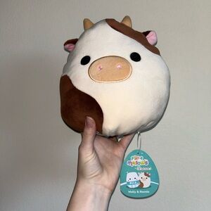 Squishmallows flip mallows Ronnie and Melly